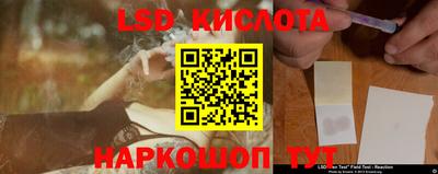 прущие грибы Заводоуковск