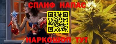 прущие грибы Заводоуковск