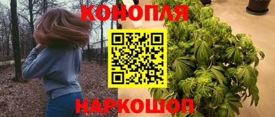 прущие грибы Заводоуковск