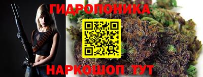 прущие грибы Заводоуковск