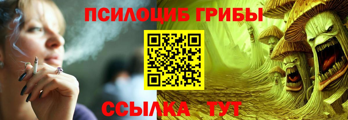 Псилоцибиновые грибы Psilocybe Бугуруслан